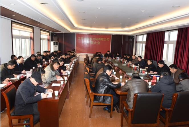 淮海傳達(dá)貫徹集團(tuán)公司2019年工作會議精神.jpg