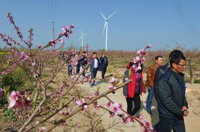 淮海農(nóng)場有限公司開展職工代表巡視活動2.jpg