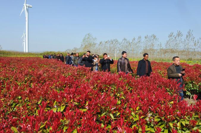 淮海農(nóng)場有限公司開展職工代表巡視活動3.jpg