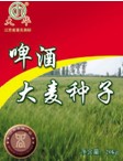 江蘇省大華種業集團有限公司簡介1.jpg